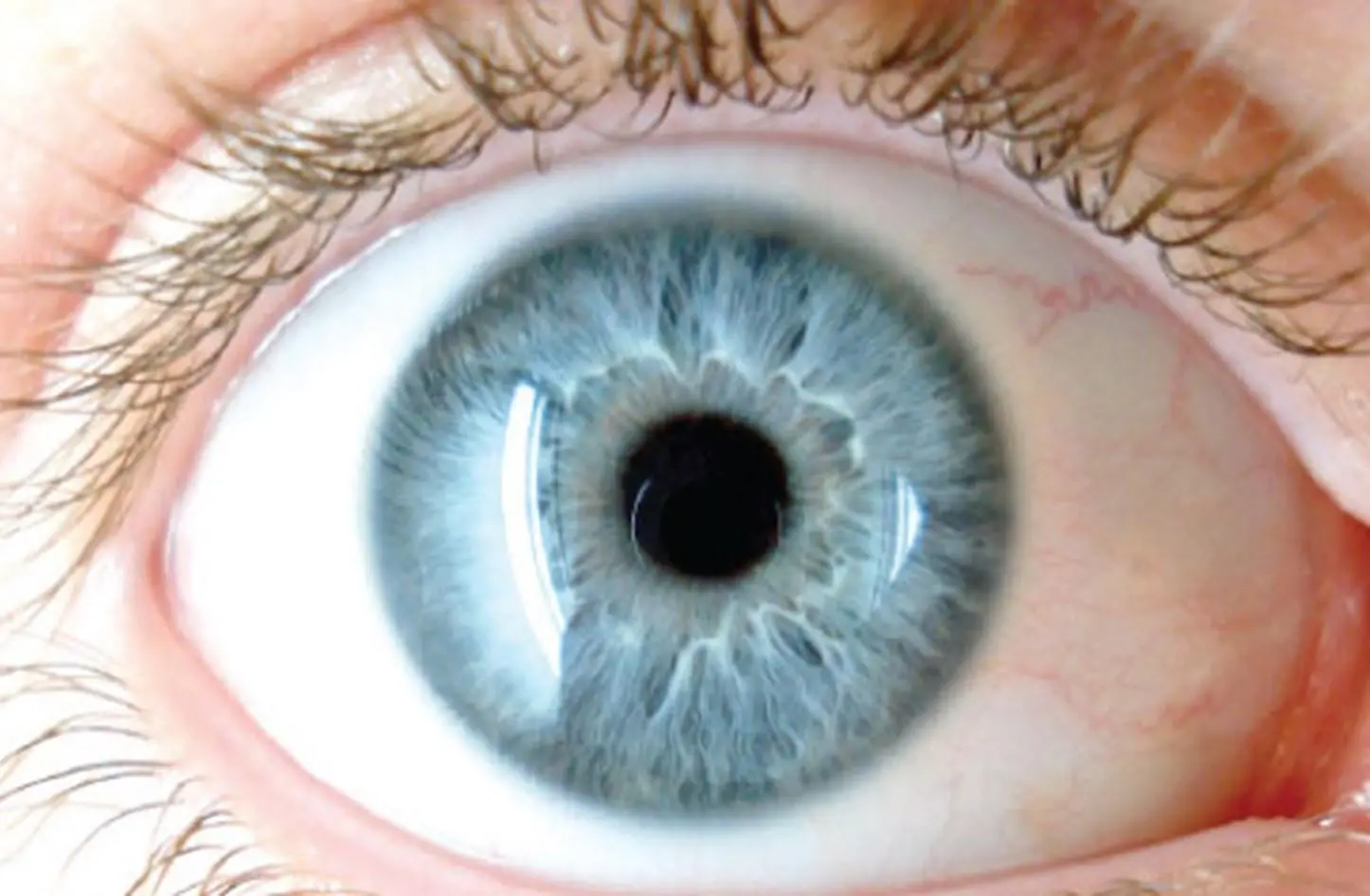 مركز جراحة عيون بالمحلة